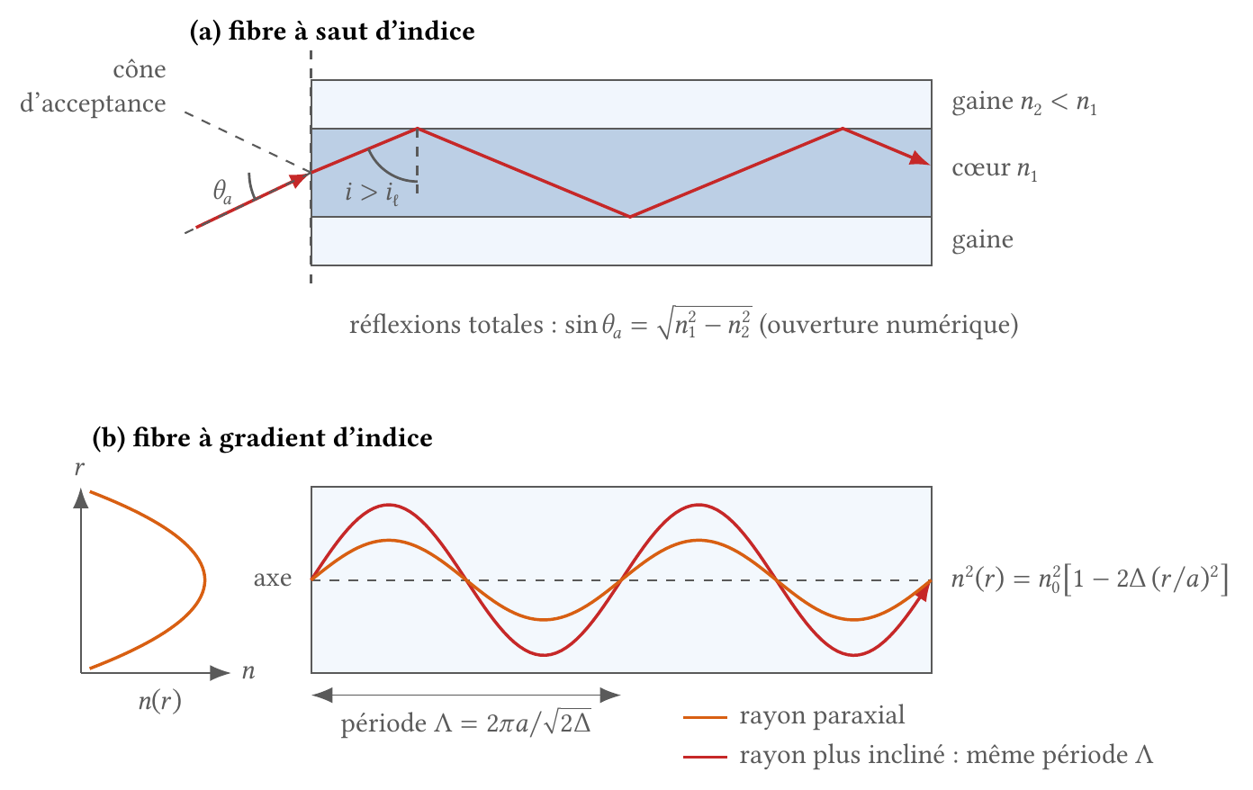 Fibre à saut d'indice (guidage par réflexions totales) et fibre à gradient d'indice (profil parabolique, trajectoires sinusoïdales)