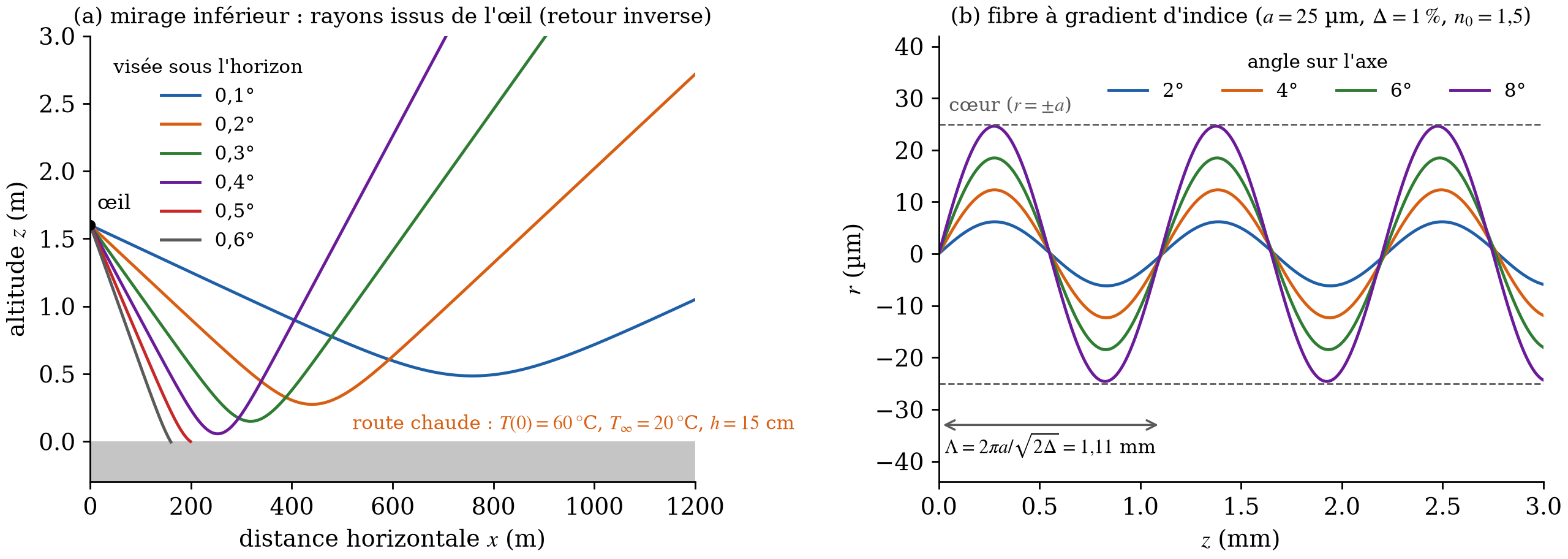 Intégration numérique de l'équation des rayons : rayons issus de l'œil au-dessus d'une route chaude, et trajectoires dans une fibre à gradient d'indice
