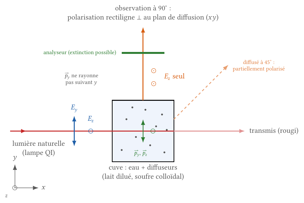 Diffusion par une cuve d'eau laiteuse : faisceau incident, dipôles induits, lumière diffusée à 90° polarisée perpendiculairement au plan de diffusion