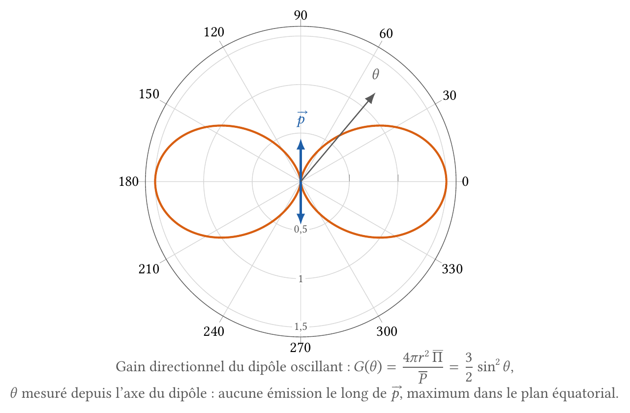 Diagramme polaire du gain directionnel d'un dipôle oscillant, proportionnel à sin²θ