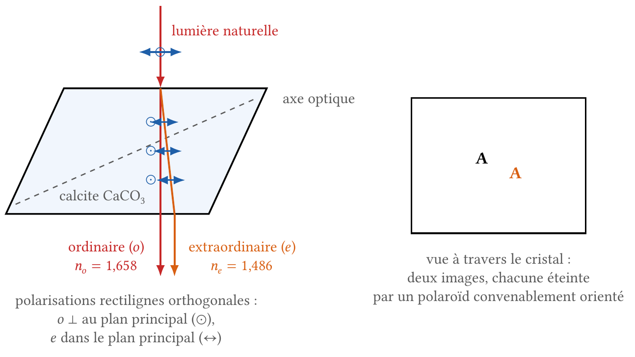 Double réfraction dans un rhomboèdre de calcite : rayons ordinaire et extraordinaire, double image
