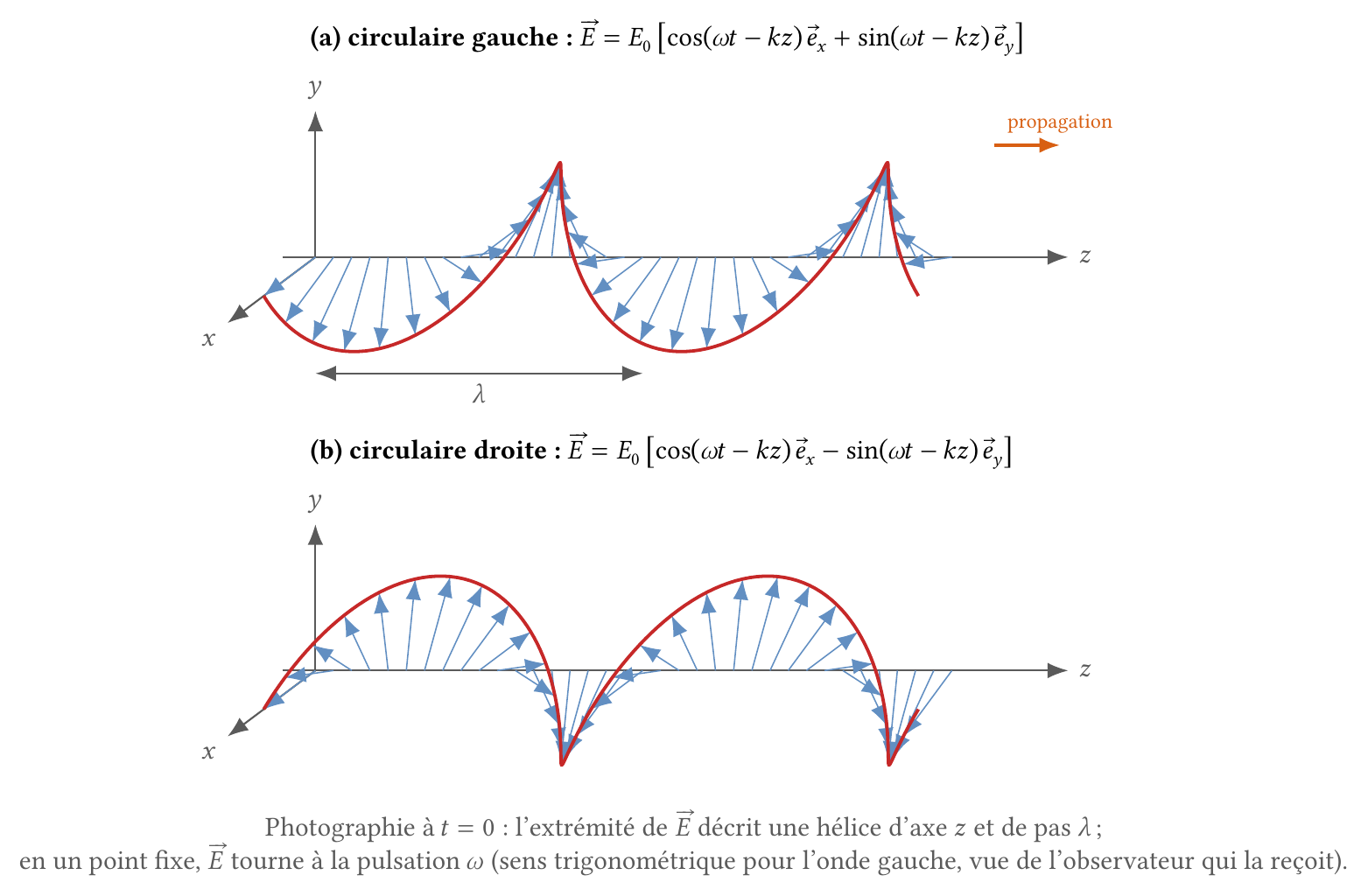 Hélices décrites par l'extrémité du champ électrique des ondes circulaires gauche et droite, photographiées à t = 0