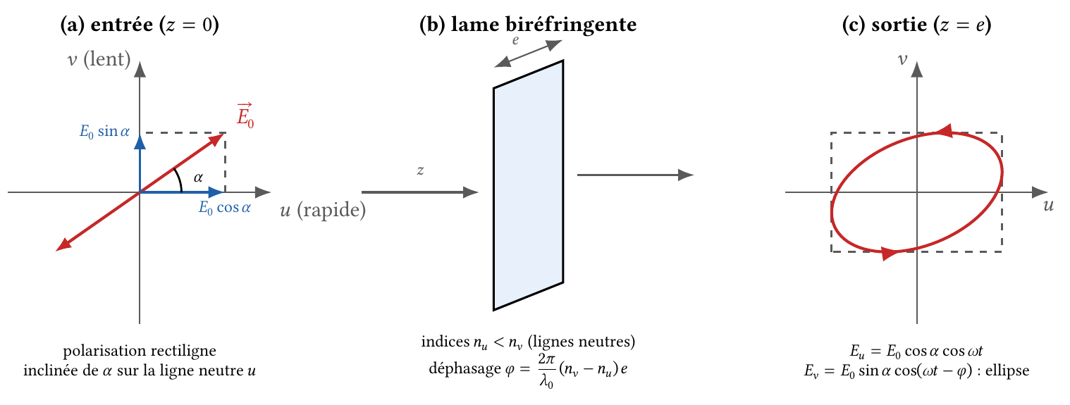 Une lame biréfringente transforme une vibration rectiligne en vibration elliptique : entrée, lame et lignes neutres, sortie
