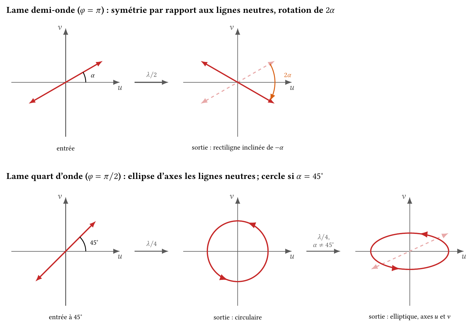 Action des lames demi-onde et quart d'onde sur une vibration rectiligne