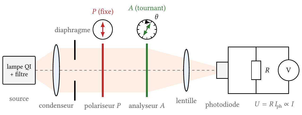 Montage de la loi de Malus : source, condenseur, diaphragme, polariseur fixe, analyseur tournant, lentille, photodiode avec résistance de charge et voltmètre