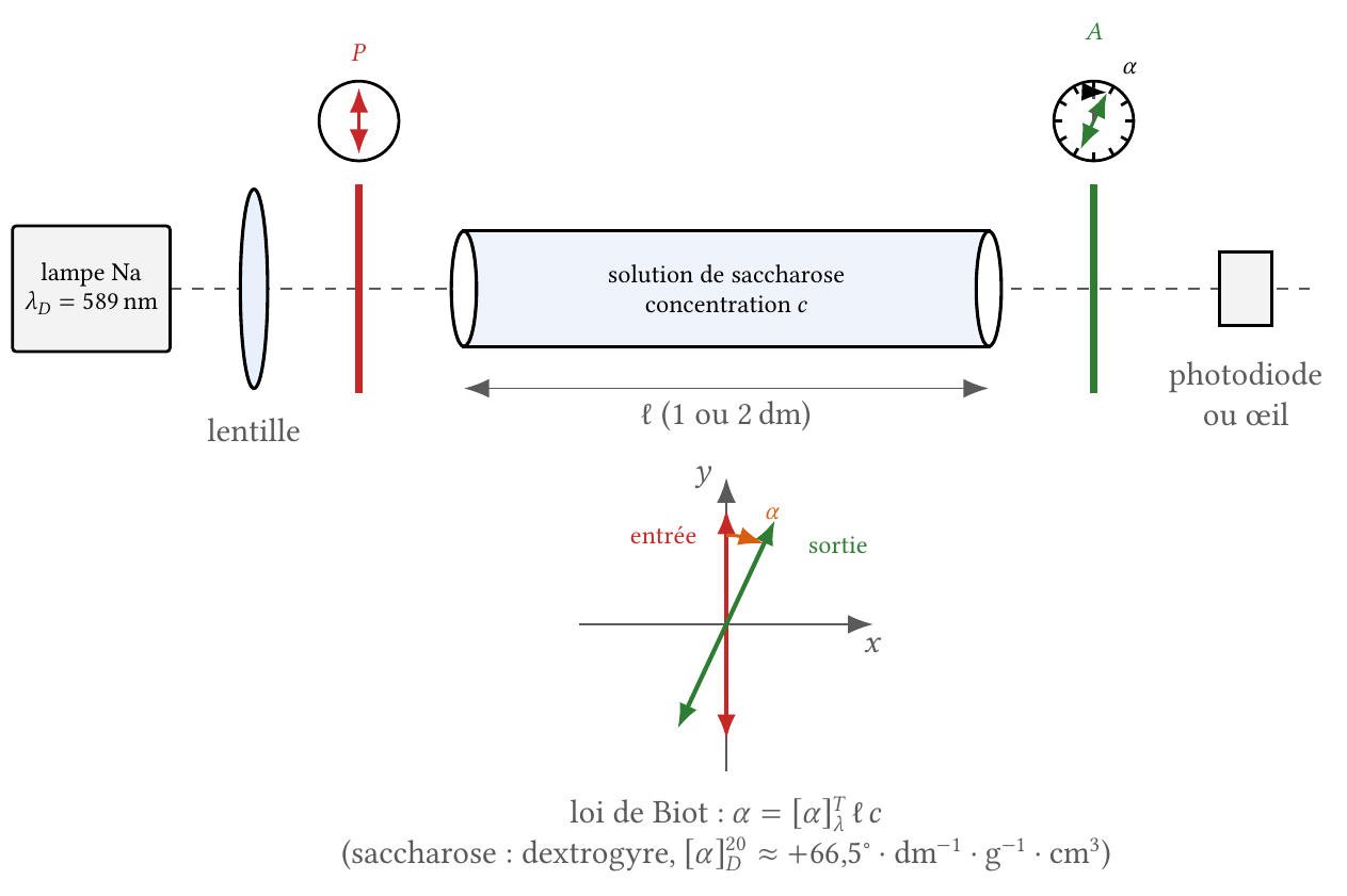 Saccharimètre : lampe à sodium, polariseur, tube de solution, analyseur gradué, détecteur ; rotation du plan de polarisation