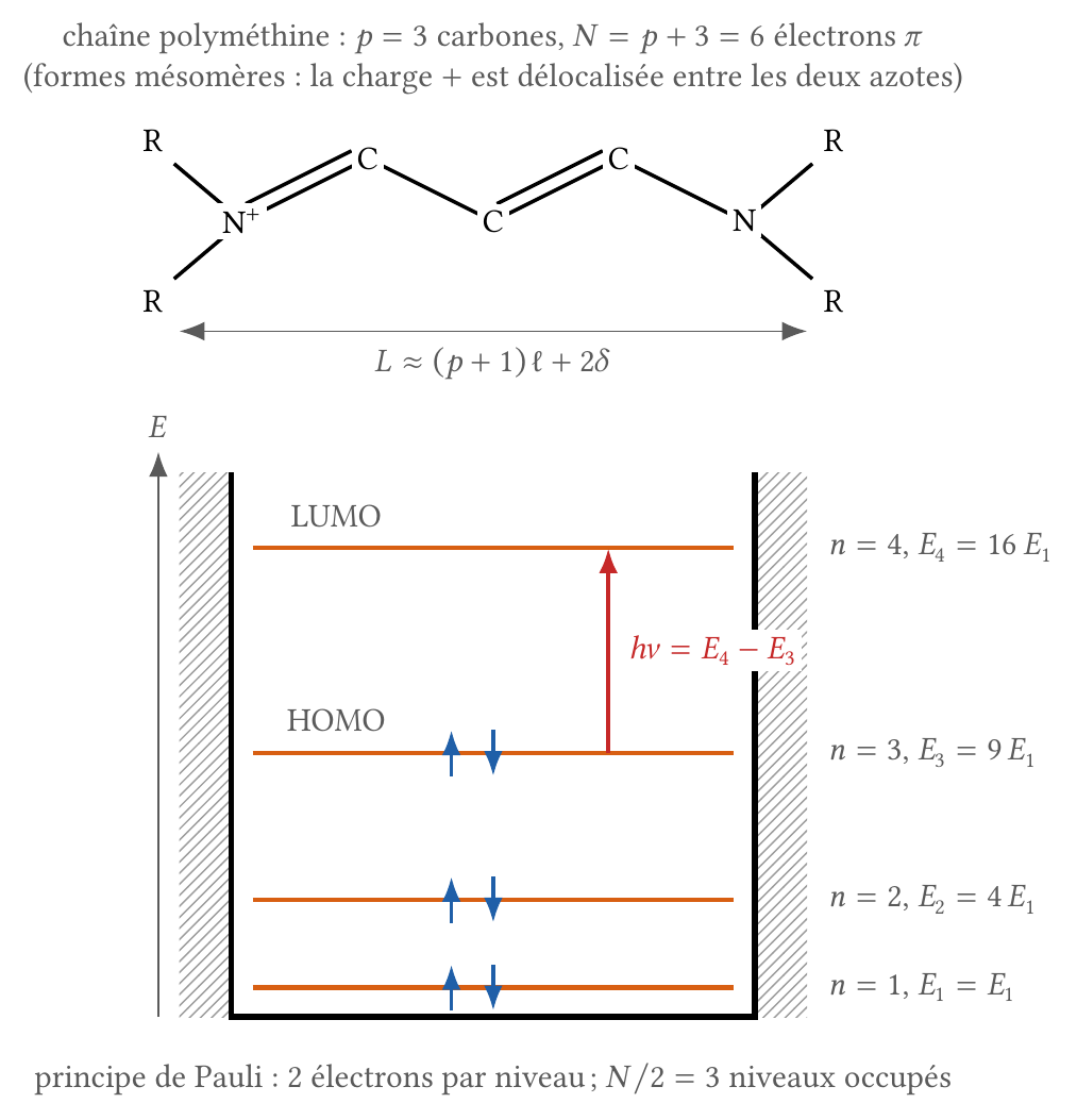 La chaîne conjuguée d'une cyanine modélisée par un puits infini