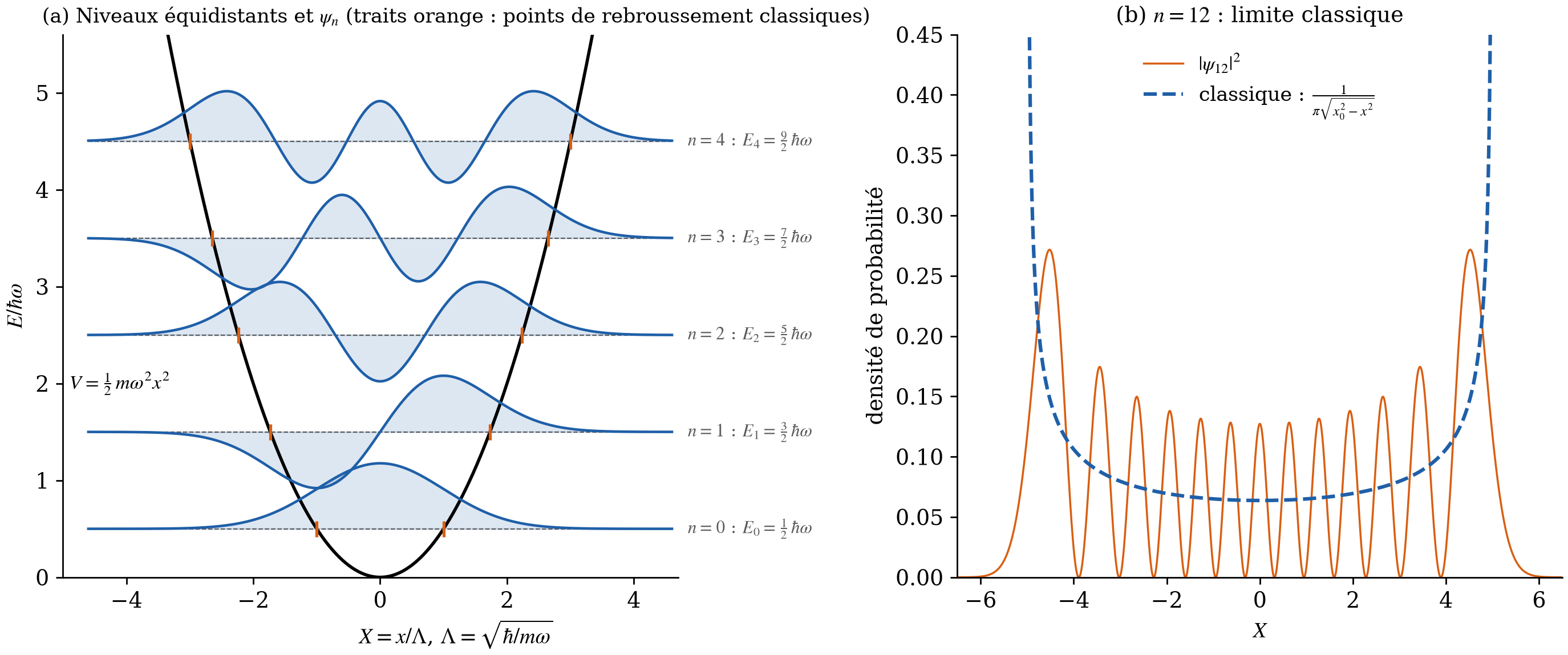 Cinq premiers états de l'oscillateur harmonique et limite classique pour n = 12