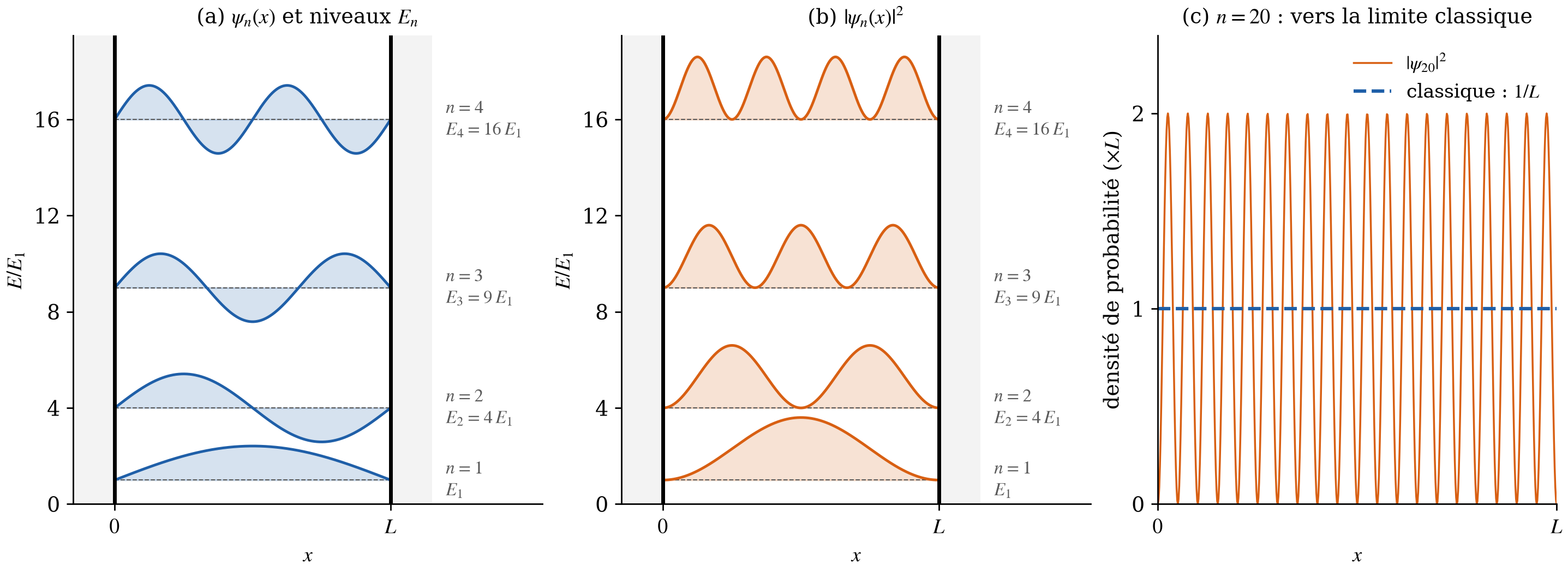 Fonctions d'onde, densités de probabilité et limite classique du puits infini