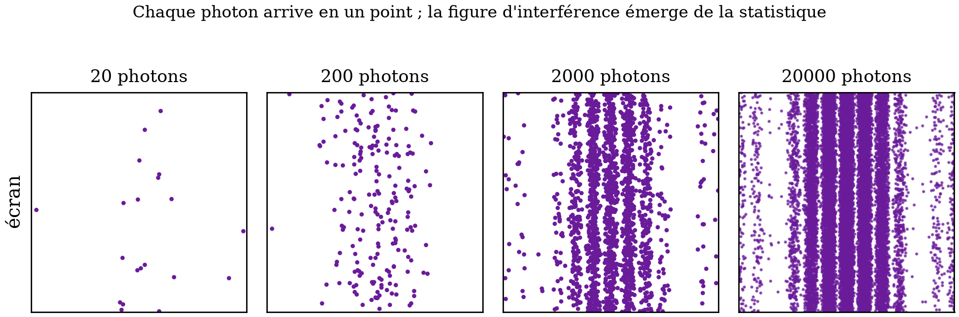 Simulation de la construction d'une figure d'interférence photon par photon