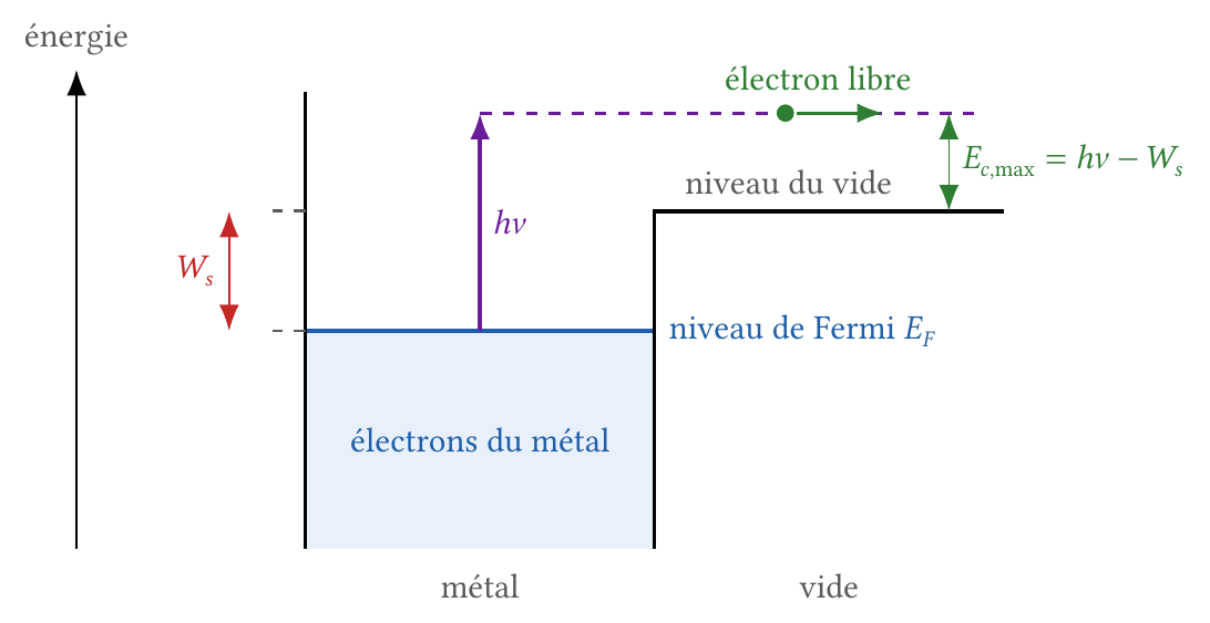 Bilan d'énergie : travail de sortie et énergie cinétique maximale