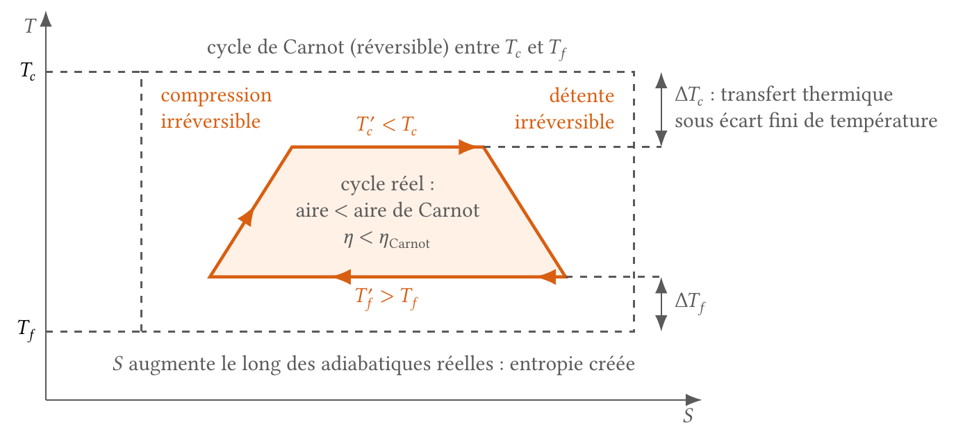 Cycle d'une machine réelle dans (T, S) comparé au cycle de Carnot entre les mêmes sources : chaleur reçue à T'c < Tc et rejetée à T'f > Tf, adiabatiques réelles créant de l'entropie